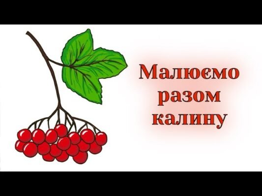 Як намалювати калину: покрокова інструкція для початківців художників