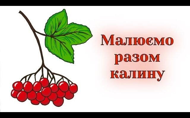 Як намалювати калину: покрокова інструкція для початківців художників