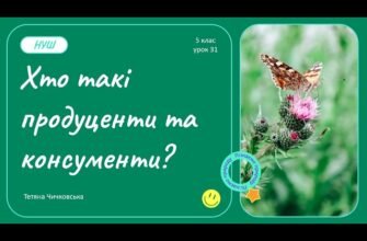 Що таке консументи: ключові ролі та приклади в екосистемах