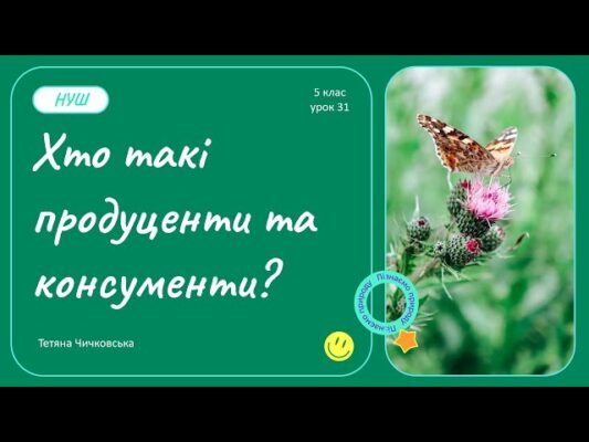 Що таке консументи: ключові ролі та приклади в екосистемах Що таке консументи: ключові ролі та приклади в екосистемах