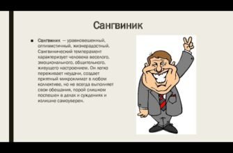 Хто такий сангвінік: визначення та ключові риси характеру