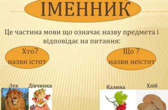 Що таке іменники: основи використання та визначення терміна