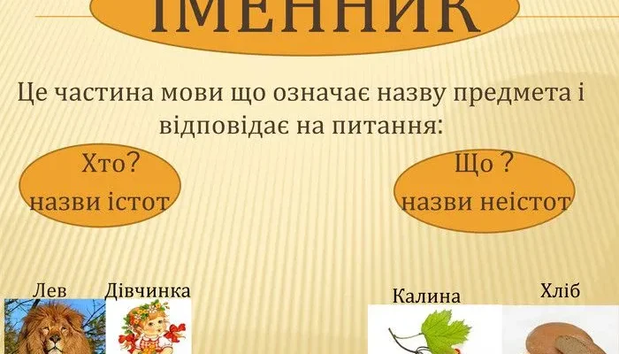 Що таке іменники: основи використання та визначення терміна