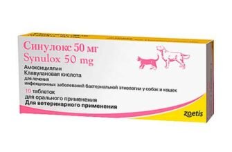 Ефективність і застосування Синулоксу: повний огляд препарату
