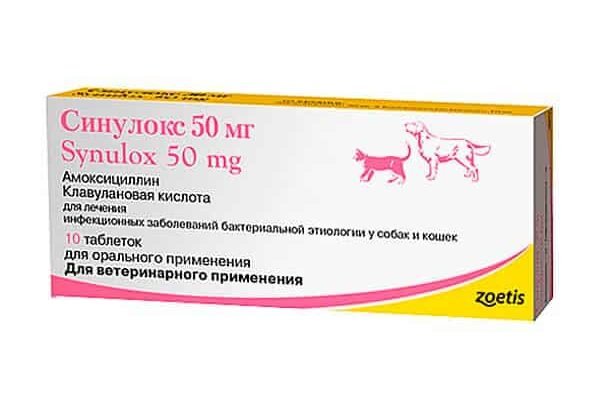 Ефективність і застосування Синулоксу: повний огляд препарату
