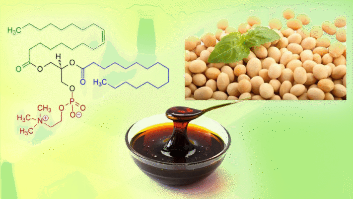 Лецитин соєвий: користь, властивості та застосування у вашому раціоні