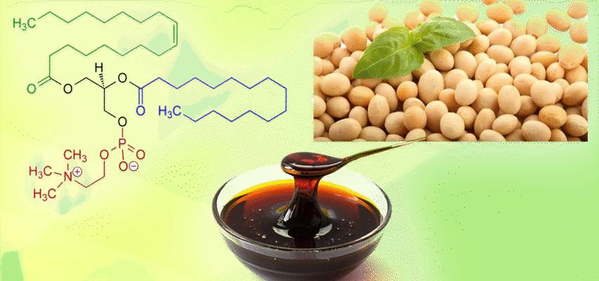 Лецитин соєвий: користь, властивості та застосування у вашому раціоні
