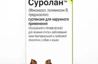 “Суролан: усе про ліки для лікування вушних інфекцій тварин”