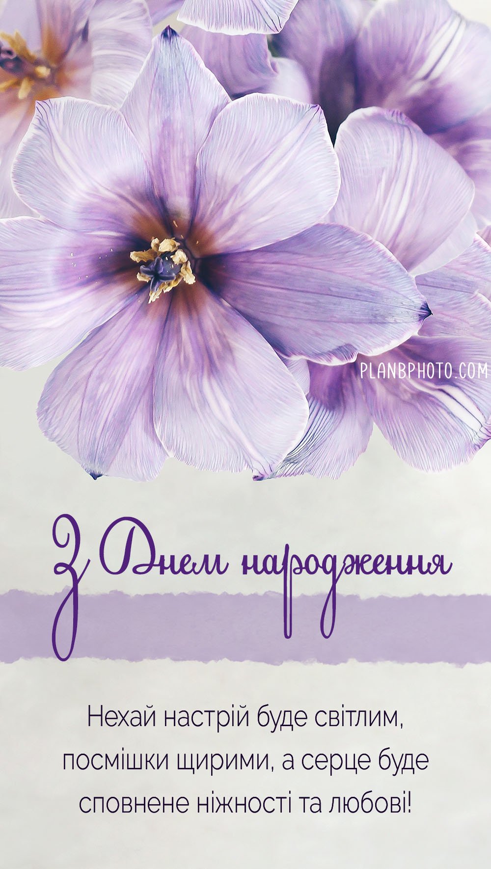 Світлий настрій