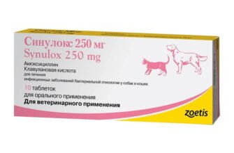 Синулокс 250: Ефективний антибіотик для тваринного здоров’я