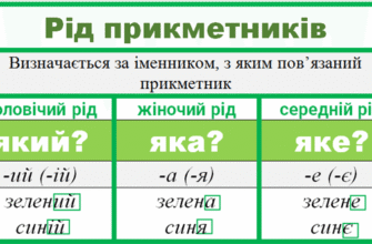 Як змінюються прикметники в українській мові: основні правила