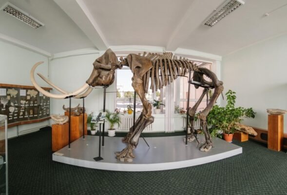 Краєзнавчий музей: унікальні експонати, які розкривають історію