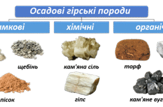 Осадові гірські породи: розуміння формування та класифікація