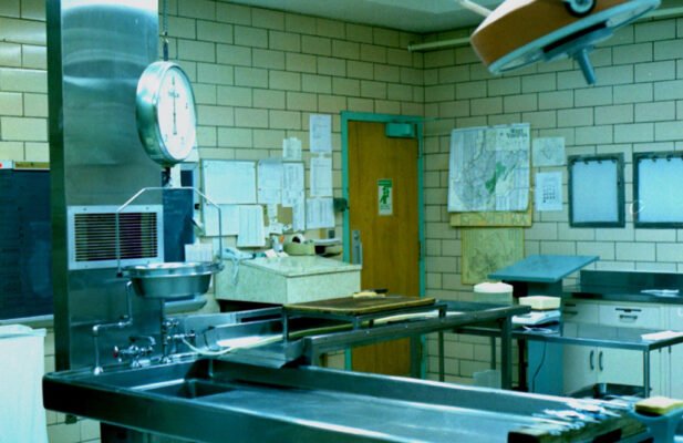 Морг як розшифровується: розкриваємо значення терміну Морг як розшифровується: розкриваємо значення терміну