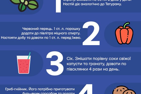Що зробити, щоб чоловік не пив: народні методи боротьби з алкоголем Що зробити, щоб чоловік не пив: народні методи боротьби з алкоголем