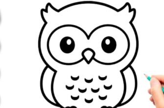 Як намалювати сову: покрокова інструкція для початківців та профі