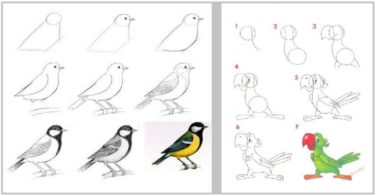 Як намалювати пташку: покрокова інструкція для початківців