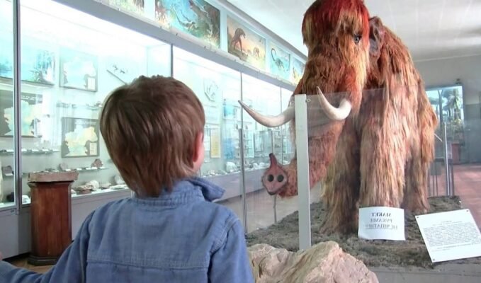 Доступні квитки: Ціни на відвідування краєзнавчого музею Києва