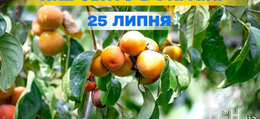 Святковий календар: яке сьогодні свято та його значення в Україні Святковий календар: яке сьогодні свято та його значення в Україні