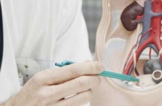 Досвідчений лікар-уролог, що лікує: вибір кращих фахівців