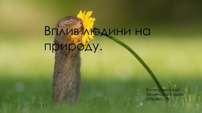 Зміни природи материка людиною: вплив та наслідки для екосистем Зміни природи материка людиною: вплив та наслідки для екосистем