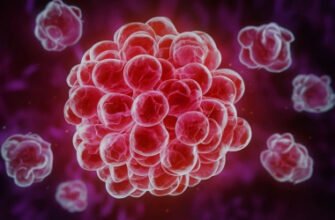 Підвищені лімфоцити у дитини: причини, симптоми та лікування