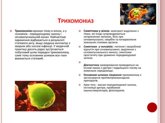 Контактно-побутовий шлях передачі інфекції: профілактика та поради Контактно-побутовий шлях передачі інфекції: профілактика та поради