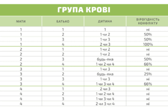 Сумісність груп крові чоловіка і жінки при вагітності: важливі аспекти