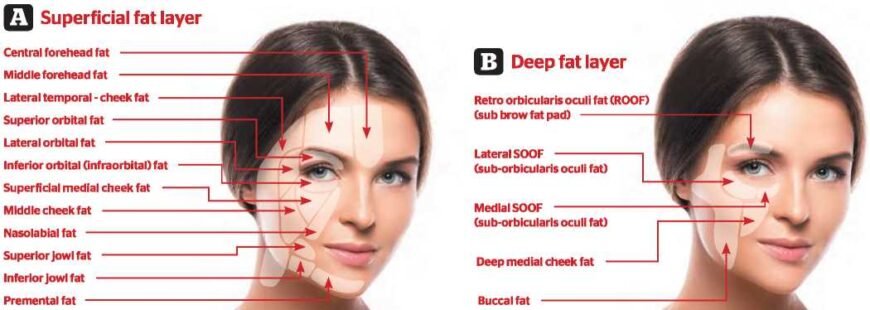 Вікові зміни у жінок: що потрібно знати для збереження молодості