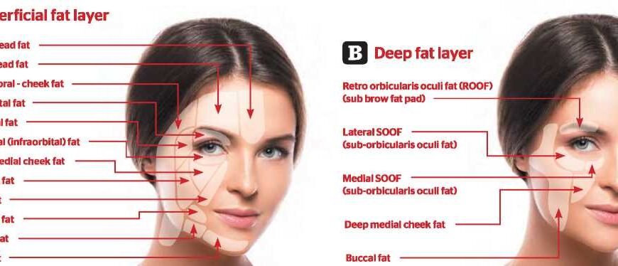 Вікові зміни у жінок: що потрібно знати для збереження молодості