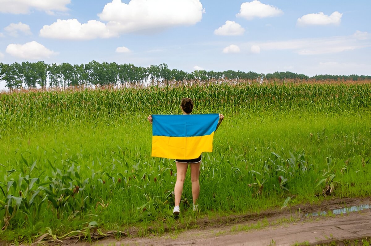 голуби миру, листівка мирного неба на день народження