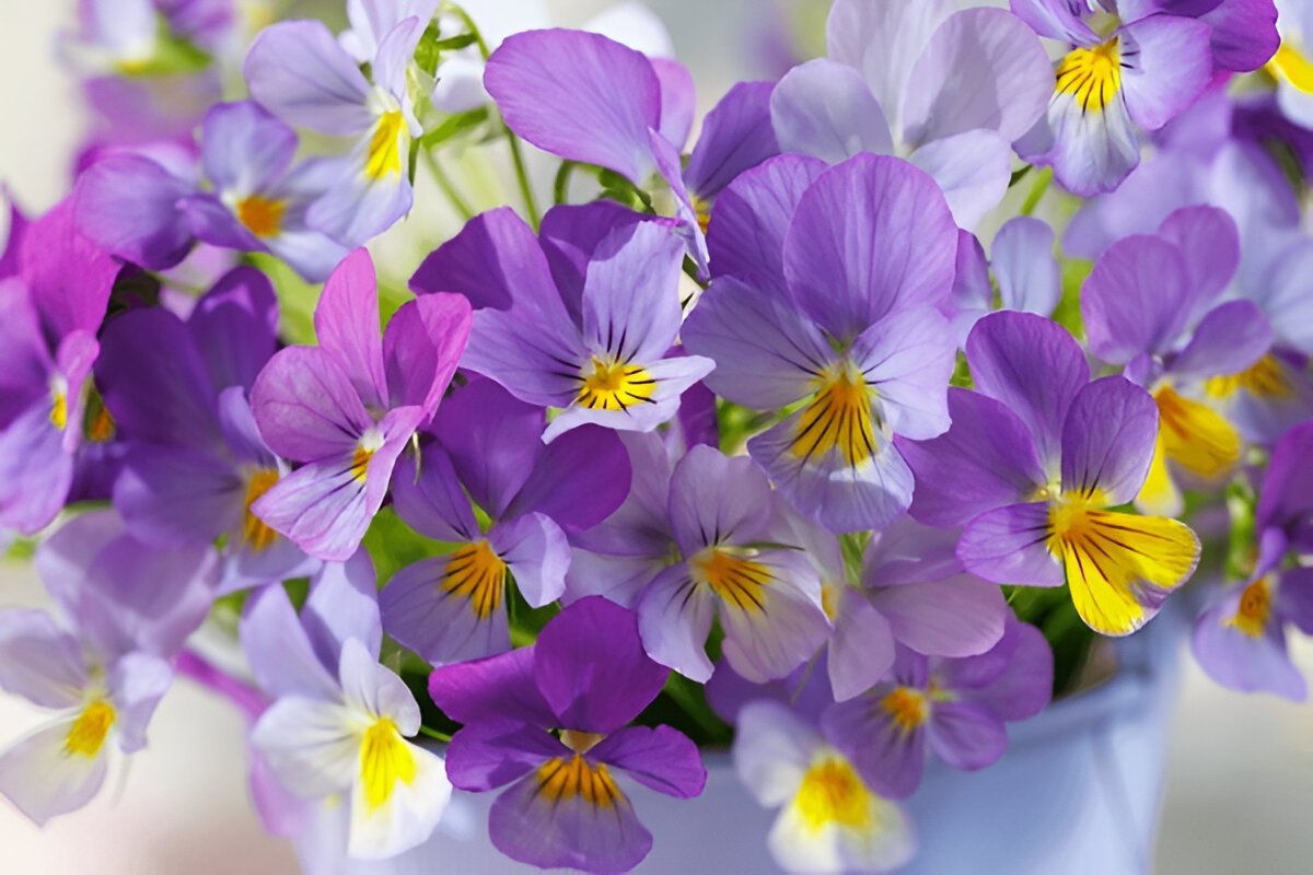 Доброго ранку середи, мирного неба