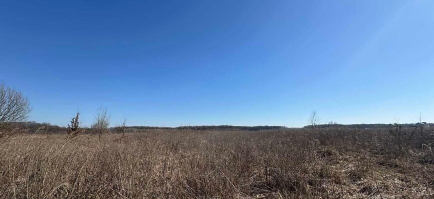 Чи можна подарувати земельний пай, якщо він в оренді: ключові аспекти