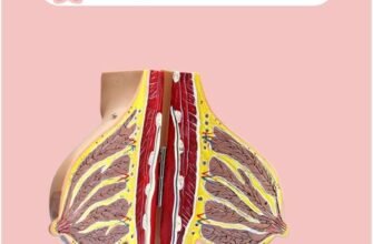 Хвороба Мінца: це симптоми, причини та методи лікування