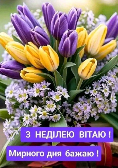 Затишна неділя