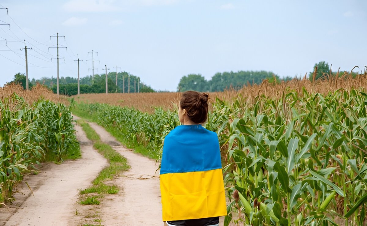 голуби миру, листівка мирного неба на день народження