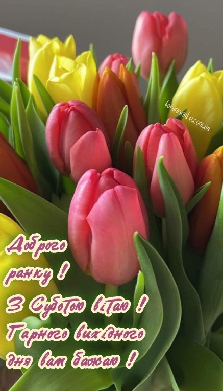 Суботній настрій