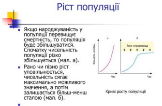 Різниця між народжуваністю і смертністю: які ключові фактори? Різниця між народжуваністю і смертністю: які ключові фактори?