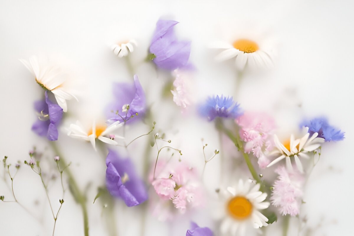 миле привітання доброго ранку