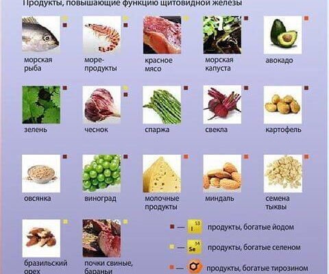 Що не можна їсти при захворюванні щитовидки: повний гайд