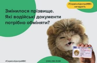 Заміна техпаспорта при зміні прізвища: покрокова інструкція оформлення