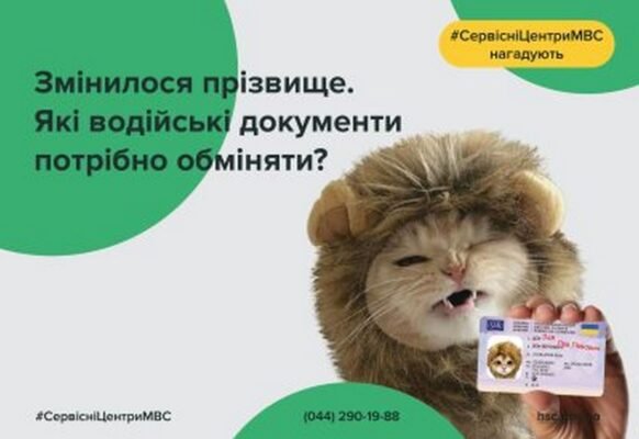 Заміна техпаспорта при зміні прізвища: покрокова інструкція оформлення