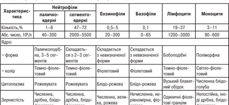 Лейкоцити в сечі 25-30 у дитини: причини та діагностика Лейкоцити в сечі 25-30 у дитини: причини та діагностика