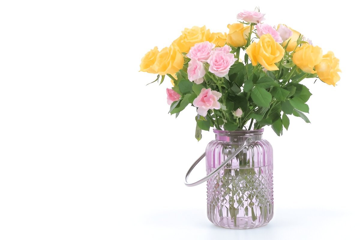 З Днем Народження ніжна картинка