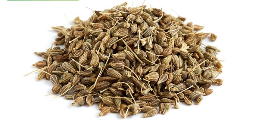 Що лікує аніс: основні захворювання, для яких він корисний Що лікує аніс: основні захворювання, для яких він корисний