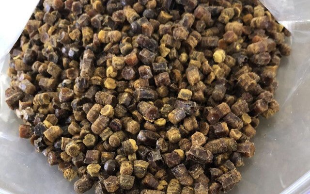 Що лікує перга: користь для здоров’я та її цілющі властивості Що лікує перга: користь для здоров’я та її цілющі властивості