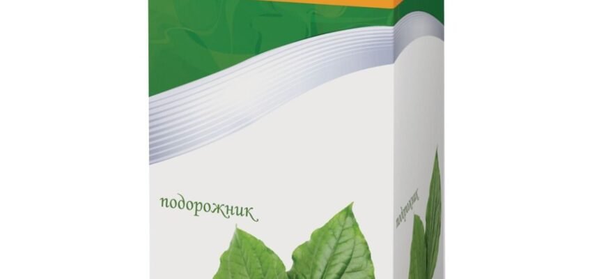 Що лікує чай з подорожника: корисні властивості та застосування