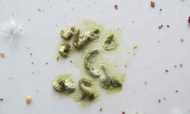 Білий кал у дитини: причини, діагностика та лікування