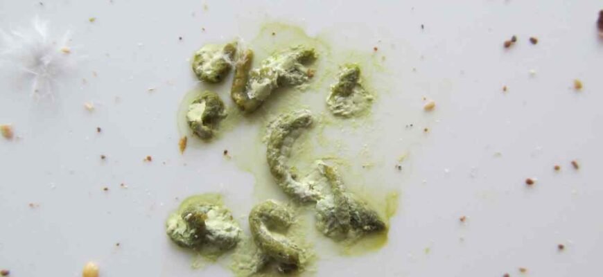 Білий кал у дитини: причини, діагностика та лікування