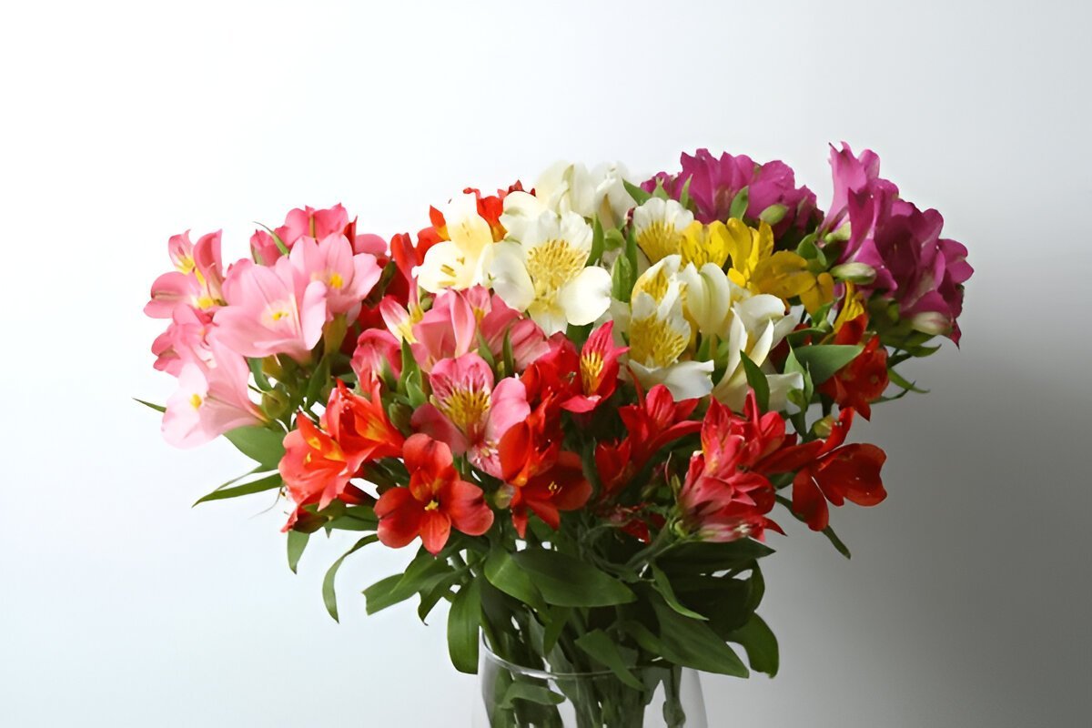 Привітання з Днем Народження: побажання та красиві листівки листівки Привітання з Днем Народження: побажання та красиві листівки листівки